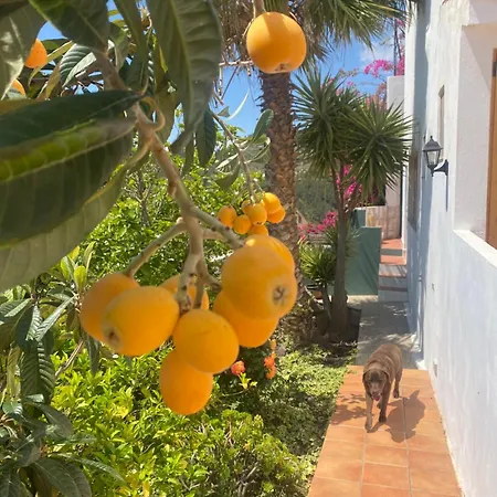 Casaitana Summerhouse